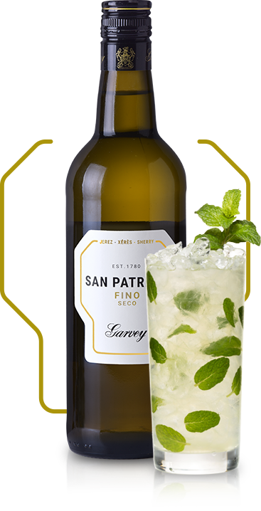 C san patricio