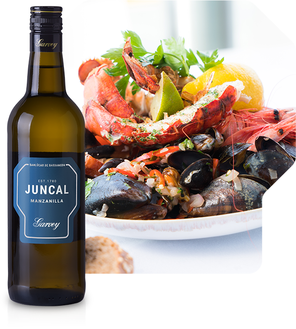 Juncal vino