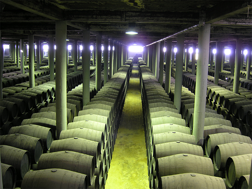 Tradicion wine